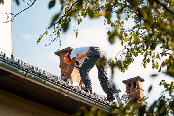 Best Roof Gutter Cleaning  in Godfrey, IL